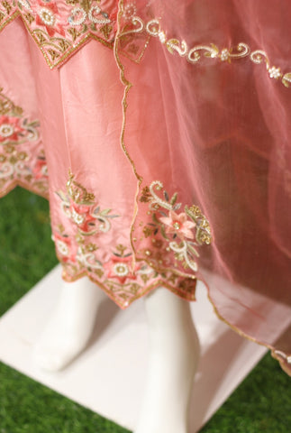 Light Pink Suit with Organza Dupatta-1362